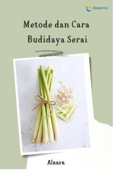 Metode dan Cara Budidaya Serai